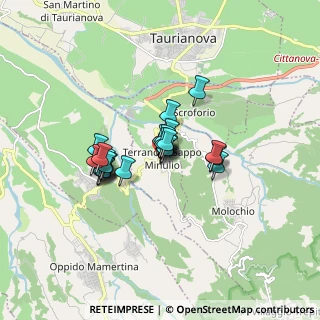 Mappa Piazza XXIV Maggio, 89010 Terranova Sappo Minulio RC, Italia (1.15)