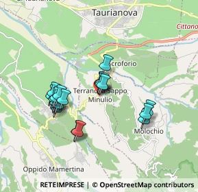 Mappa Via Roma, 89010 Terranova Sappo Minulio RC, Italia (1.686)