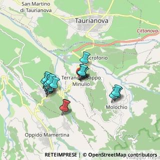 Mappa SP1dir, 89010 Terranova Sappo Minulio RC, Italia (1.7145)