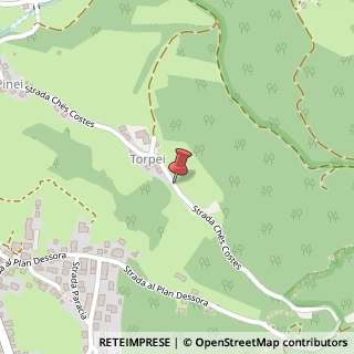 Mappa Strada ches costes 7, 39030 Marebbe, Bolzano (Trentino-Alto Adige)