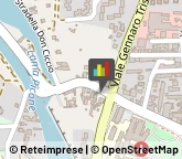 Veterinaria - Ambulatori e Laboratori Bari,70131Bari