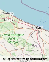 Sacchetti e Buste Altamura,70022Bari