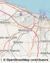 Nettezza Urbana - Servizio Bari,70132Bari