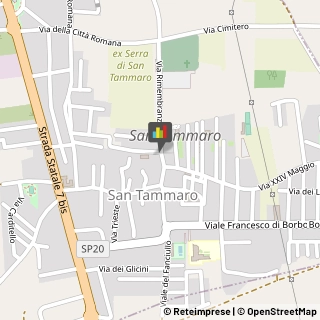 Palestre e Centri Fitness San Tammaro,81050Caserta