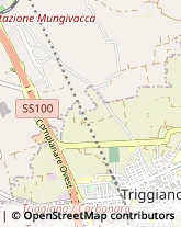 Ristoranti Triggiano,70019Bari