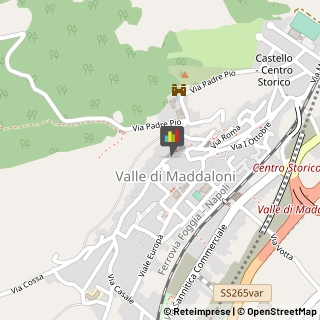 Vivai Piante e Fiori Valle di Maddaloni,81020Caserta