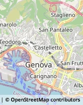 Frutta e Verdura - Dettaglio Genova,16128Genova