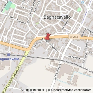 Mappa Via Minella, 7, 48012 Bagnacavallo, Ravenna (Emilia Romagna)