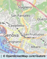 Giardinaggio - Servizio Genova,16129Genova