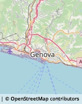 Agenzie di Animazione e Spettacolo Genova,16149Genova