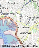 Via Attilio Odero, 20/N,16129Genova