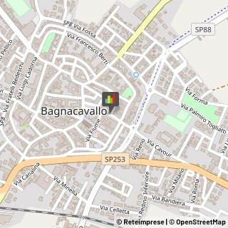 Articoli per Ortopedia Bagnacavallo,48012Ravenna