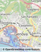 Partiti e Movimenti Politici Genova,16124Genova