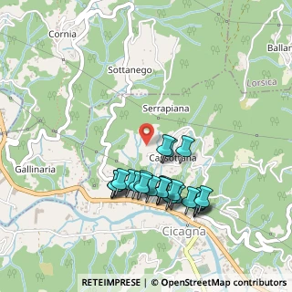 Mappa Via Chiapparino, 16044 Cicagna GE, Italia (0.4625)