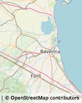 Frutta e Verdura - Dettaglio Russi,48026Ravenna