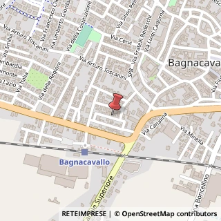 Mappa Via V. Bellini, 6, 48012 Bagnacavallo, Ravenna (Emilia Romagna)