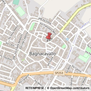 Mappa Via Luigi Carlo Farini, 3, 48012 Bagnacavallo, Ravenna (Emilia Romagna)