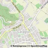 地图 Caraglio