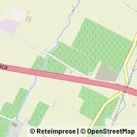 Carte Dozza
