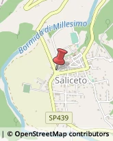 , 4,12079Saliceto