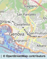 Pollame, Conigli e Selvaggina - Dettaglio Genova,16129Genova