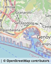 Agopuntura Genova,16124Genova