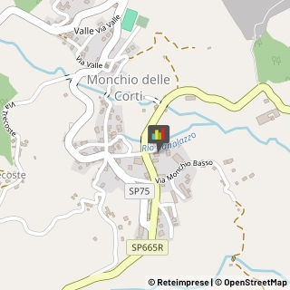 Marmitte per Motori Monchio delle Corti,43010Parma