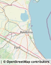 Elettrauto Russi,48026Ravenna