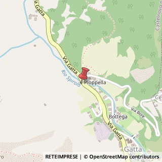 Mappa Via Gatta,  39, 42035 Castelnovo Ne' Monti, Reggio nell'Emilia (Emilia Romagna)