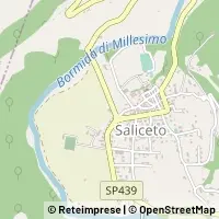 Hartă Saliceto