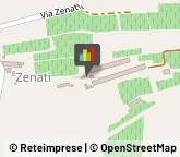 Animali Domestici - Centri Allevamento e Addestramento,37014Verona