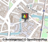 Tour Operator e Agenzia di Viaggi,35137Padova