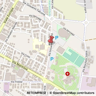 Mappa Via G. Falcone, 8, 25018 Montichiari, Brescia (Lombardia)