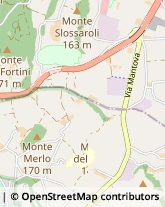 Via Ceratelli, 13,46043Castiglione delle Stiviere