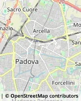 Agenzie di Animazione e Spettacolo Padova,35128Padova