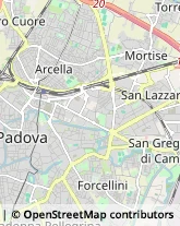 Articoli da Regalo - Dettaglio Padova,35137Padova