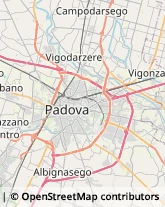 Articoli da Regalo - Dettaglio Padova,35127Padova