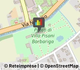 Trapani,30039Venezia
