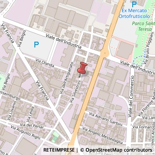Mappa Via Silvestrini, 20, 37135 Verona, Verona (Veneto)