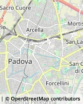 Medicina del Lavoro - Medici Specialisti Padova,35121Padova