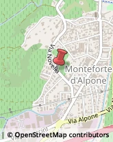 Via Novella, 15/A,37032Monteforte d'Alpone