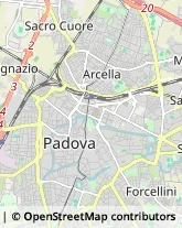 Rosticcerie e Salumerie Padova,35131Padova