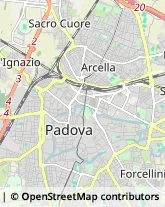 Alimentari Padova,35122Padova