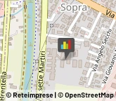 Trasporto Disabili,35100Padova