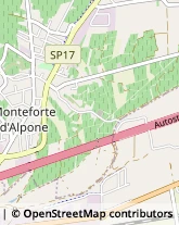 Trasporti Internazionali San Bonifacio,37047Verona