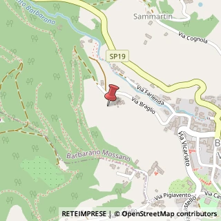 Mappa Via Braglio, 3A, 36021 Barbarano Vicentino, Vicenza (Veneto)