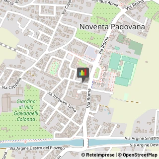 Pollame, Conigli e Selvaggina - Dettaglio Noventa Padovana,35027Padova