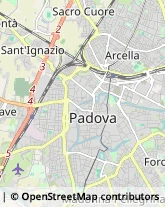 Giornalai Padova,35138Padova