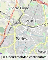 Locali, Birrerie e Pub Padova,35134Padova