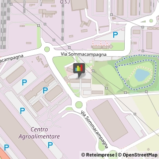 Feste - Organizzazione e Servizi,37137Verona